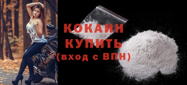 дурь Няндома