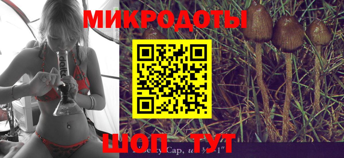 цены наркотик  Псилоцибиновые грибы GOLDEN TEACHER  Урус-Мартан  Вход с VPN  Галлюциногенные грибы мицелий 