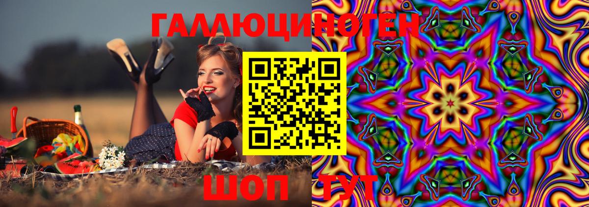 Псилоцибиновые грибы Magic Shrooms  закладки  Урус-Мартан  Псилоцибиновые грибы GOLDEN TEACHER 