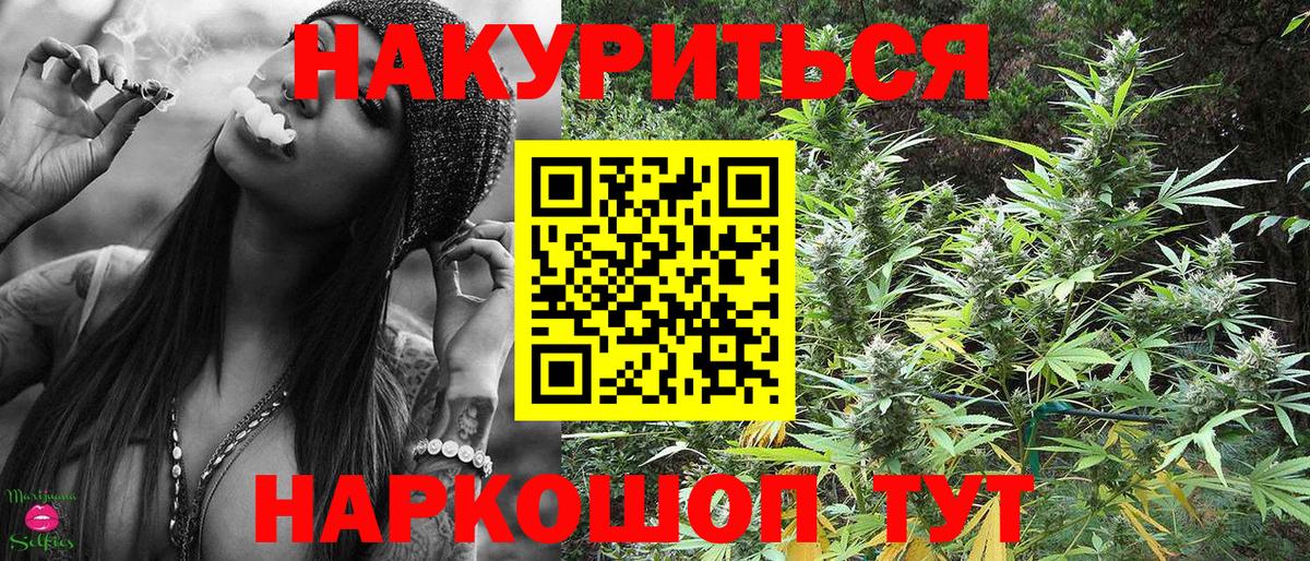 Бошки Шишки гибрид Урус-Мартан